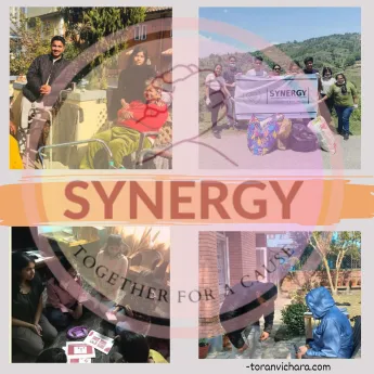 Poster for article of website article Titled:- Synergy